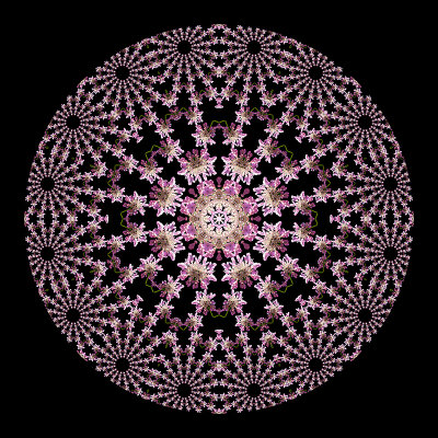 This shows the details of the center part or the previous kaleidoscope