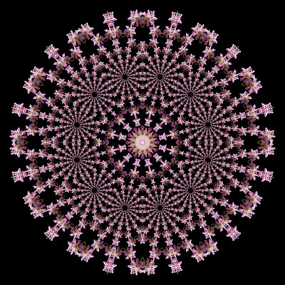 Evolved kaleidoscope with a repetition factor of twelve. 12 x 30 = 360
