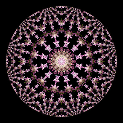 This shows the details of the center part or the previous kaleidoscope