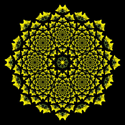 Evolved kaleidoscope created with the spiral arrangement.