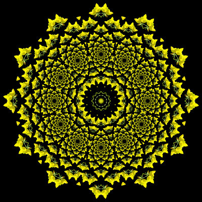 An evolved kaleidoscope created by repeating a part of the spiral 12 times.