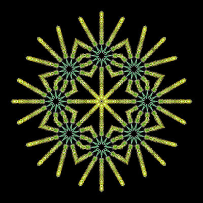Evolved kaleidoscopic creation with a grass seen in the forest