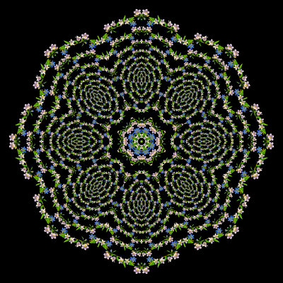 Evolved kaleidoscope created with wild flowers seen in the forest in August.