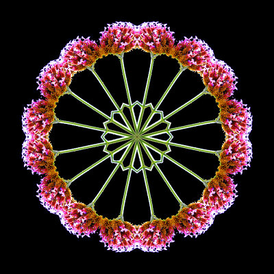 Kaleidoscope created with a flower seen in Thun