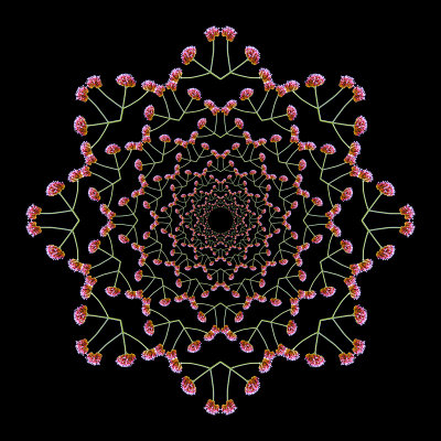 Logarithmic kaleidoscope with 160 times the same tripple flower