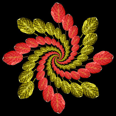 A logarithmic spiral kaleidoscope with 20 x 8 copies of the same red leaf - half of them converted to gold.