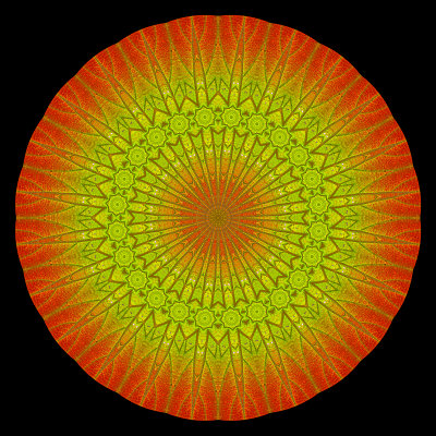 An evolved kaleidoscope created with an autumn leaf seen in October 2017