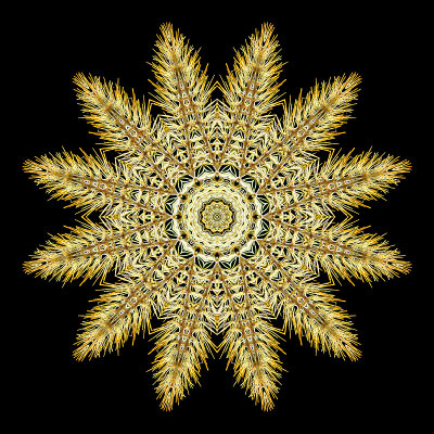 Kaleidoscope created from a dry grass seen in October