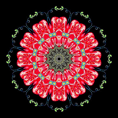 Kaleidoscope created with a picture of embroidery work