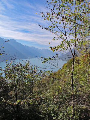While the train slowly climbs through the forest we can see the Lake of Brienz below