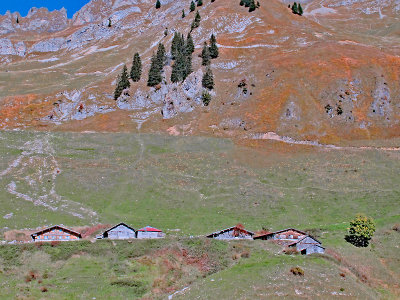 An alpine settlement of houses for the summer. Here are many cows grazing during the summer months