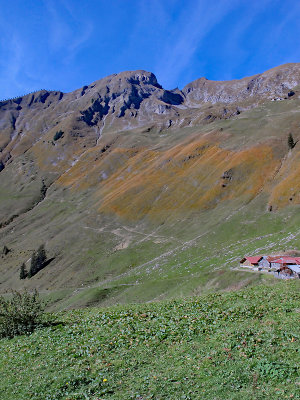 The slopes of Brienzer Rothorn