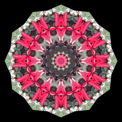 Kaleidoscope created with red autumn leaves