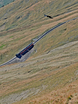 Looking down the slope from Brienzer Rothorn peak - seeing another steam train coming up towards the mountain