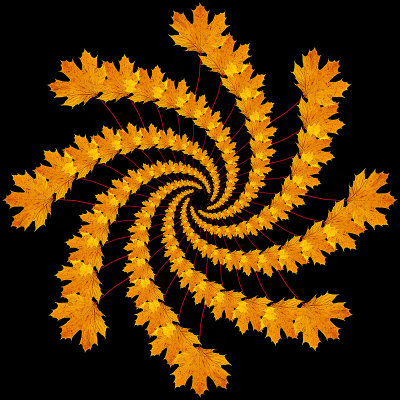 Lgrarithmic spiral kaleidoscope created with an autumn leaf in November