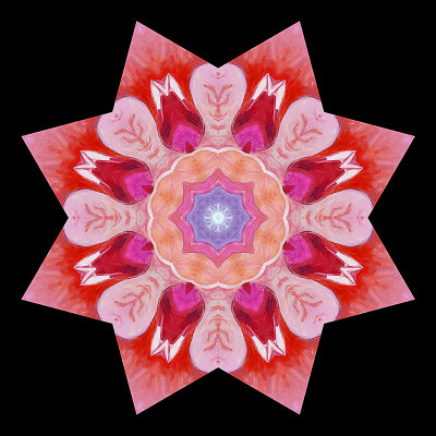 Kaleidoscope created with a picture of an abstract painting