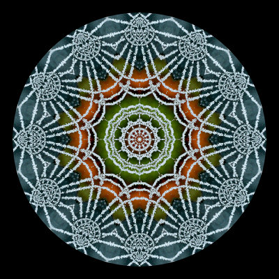 Kaleidoscope created with a picture of a frosted cobweb seen in December 2015