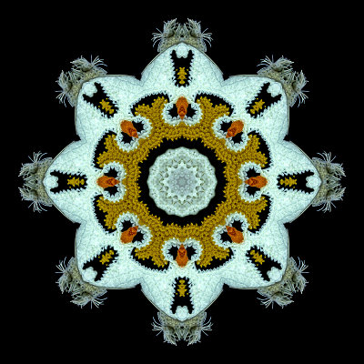 Kaleidoscope created with a picture of a knitted artwork seen at the Christmas market in Zurich