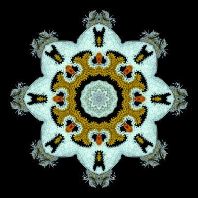 g10/54/24354/3/168575468.23Ol0srt.jpg
