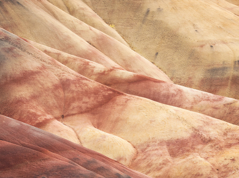 Painted Hills-Tony PaineCAPA Fall 2017 Nature
