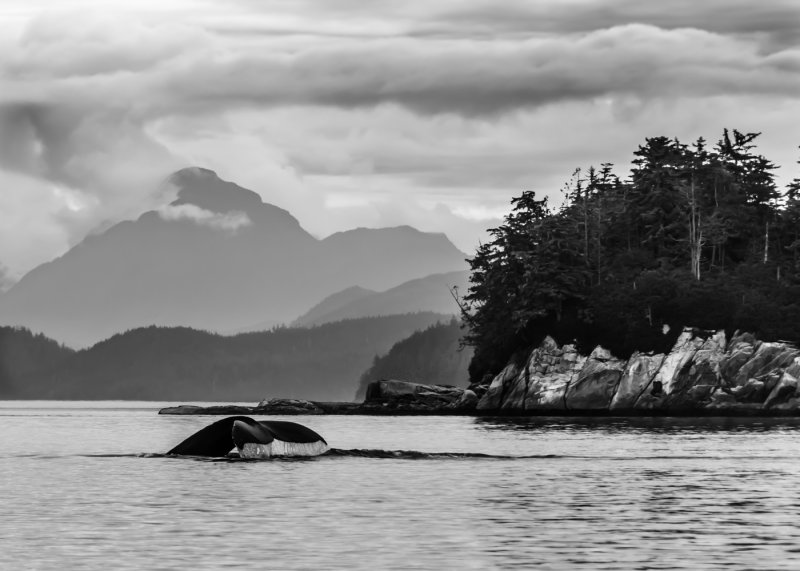 Coastal Excursion-Valerie PayneCAPA Fall 2017 Nature