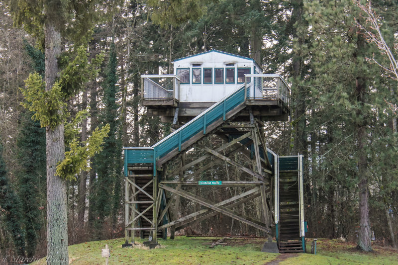 Tom Murchie  Lookout Tower