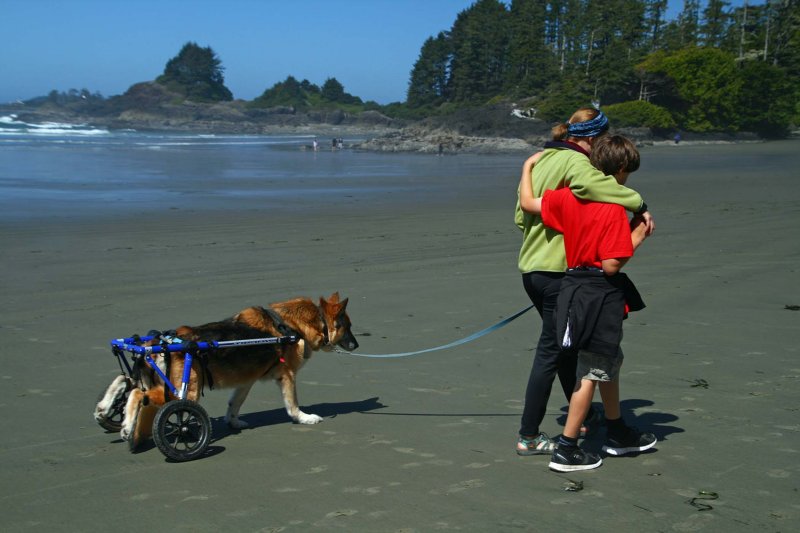 Bob Skelton2018 CAPA Canada: My CountryFamily Stroll on Chesterman BeachPoints: 23