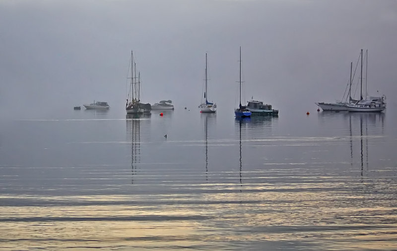 Racine Erland2010 North Shore Photographic ChallengeMorning Fog