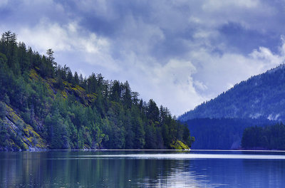 Don Brown <br> Cowichan Lake Bluffs