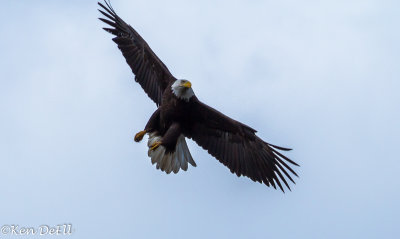 g10/54/364954/3/165308790.37FbTjYc.jpg