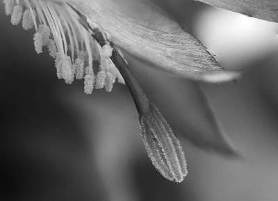 g10/54/364954/3/165384781.9VJRxbs9.jpg