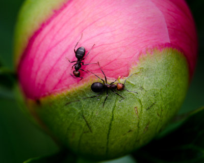 g10/54/364954/3/165869260.PeNB9r8m.jpg