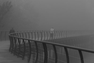 g10/54/364954/3/166859659.6St1xzZ5.jpg