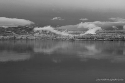 Zosia Miller<br> A North East View-Infrared 