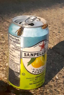 g10/54/364954/3/168065295.WVvLzpYW.jpg