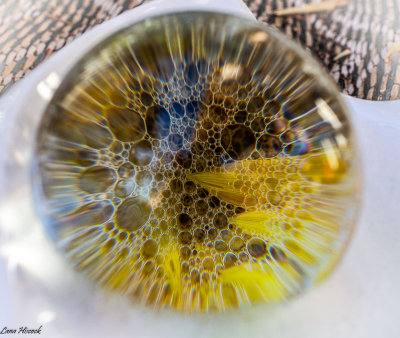 g10/54/364954/3/168144688.HjPL4PWc.jpg