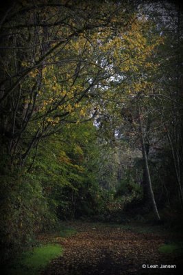 g10/54/364954/3/168320989.pRvqbcyo.jpg