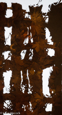 g10/54/364954/3/168326213.oA66ij39.jpg