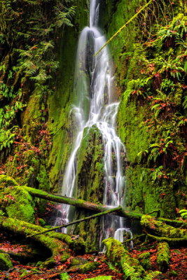 c sadler<br>goldstream park