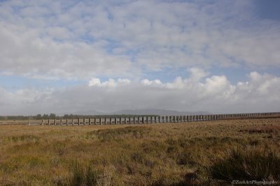 Zosia Miller <br> Trestles at Trestle Bay