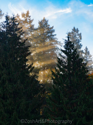 g10/54/364954/3/168489107.KhZFnsaP.jpg