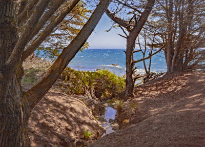 Sea Ranch