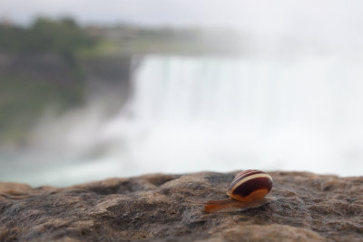 Niagara_Falls_4_Origwk_MG_1170.jpg