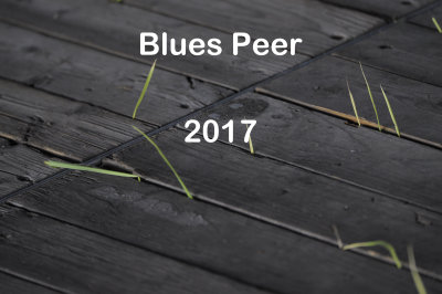 Winterland '76 - Blues Peer 2017
