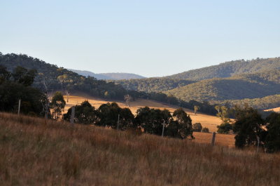 View down the Boggy Creek Valley from our hill, 7.30 a.m. on the way home from our walk as the days begin to shorten.