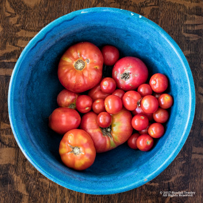 Tomatoes-In-Blue-Bowl.jpg