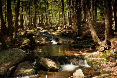 RM_170516-14-Shefford-Parc Jean Paul Forand.jpg