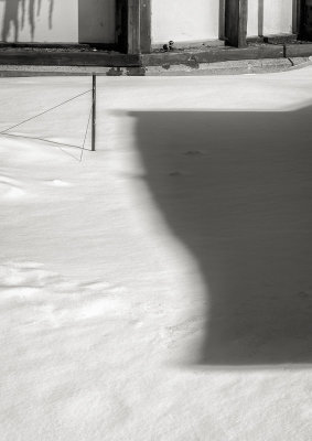 PD-Gramby-2018 (5 of 12).jpg