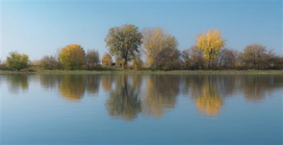 Reflets d'automne.jpg