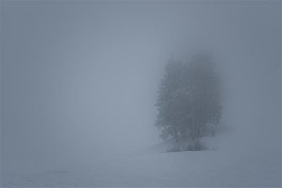 Brouillard.jpg
